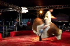Artificial Bull Rider.jpg